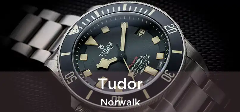 Tudor Norwalk